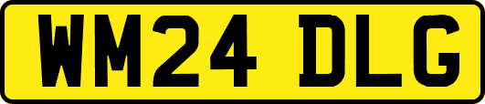 WM24DLG