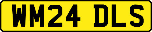 WM24DLS