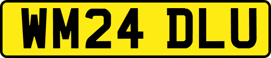 WM24DLU