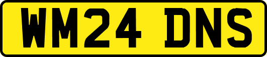WM24DNS