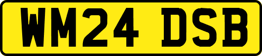 WM24DSB