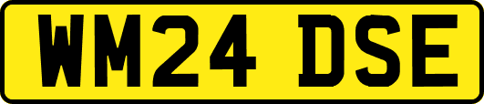 WM24DSE