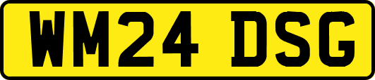 WM24DSG