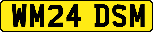 WM24DSM