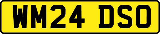 WM24DSO