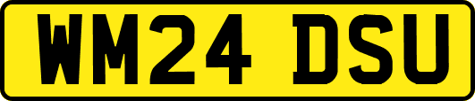 WM24DSU