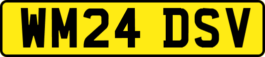 WM24DSV