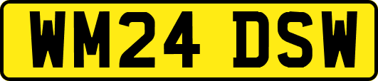 WM24DSW
