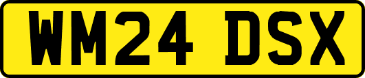 WM24DSX
