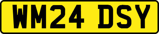 WM24DSY