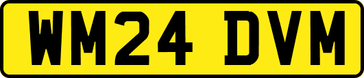 WM24DVM
