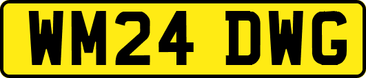 WM24DWG