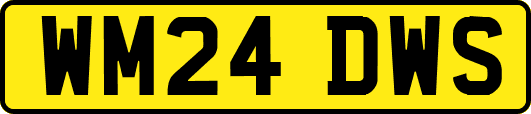 WM24DWS