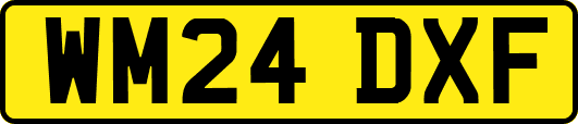 WM24DXF