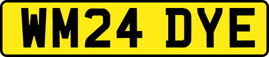 WM24DYE