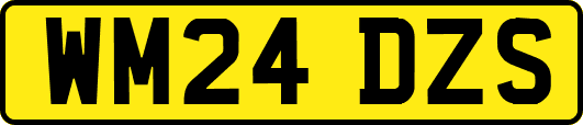 WM24DZS