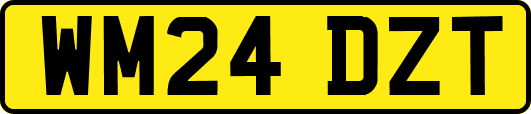 WM24DZT
