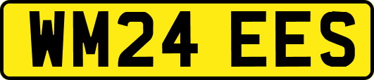 WM24EES