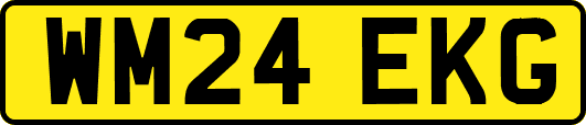 WM24EKG