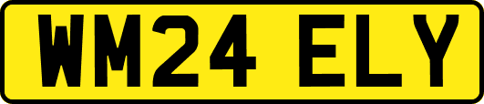 WM24ELY