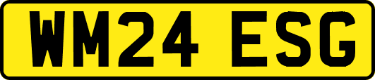 WM24ESG