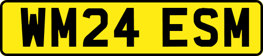 WM24ESM