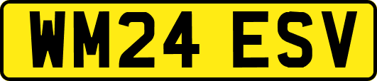 WM24ESV