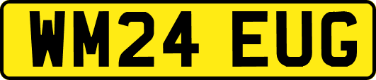 WM24EUG