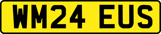WM24EUS