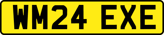 WM24EXE