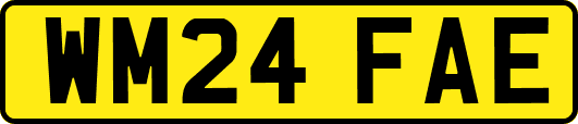 WM24FAE