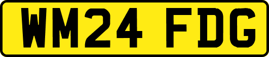 WM24FDG