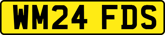 WM24FDS