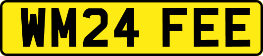 WM24FEE
