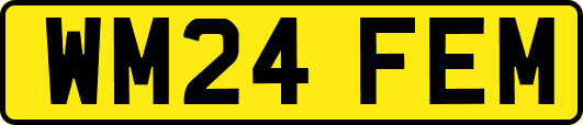 WM24FEM