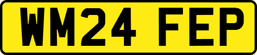 WM24FEP
