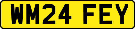 WM24FEY