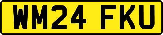 WM24FKU