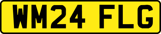 WM24FLG