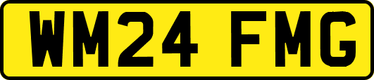 WM24FMG