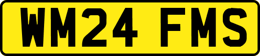WM24FMS