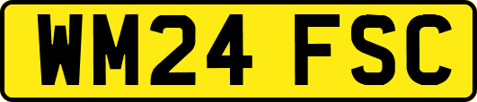 WM24FSC