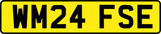 WM24FSE