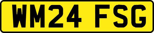 WM24FSG