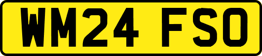 WM24FSO