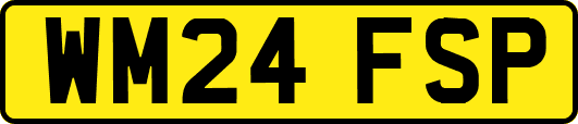 WM24FSP