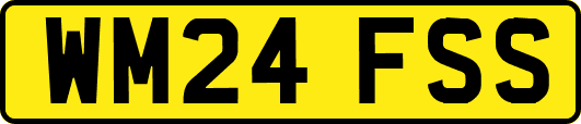 WM24FSS