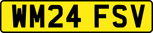 WM24FSV
