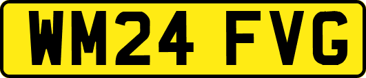 WM24FVG