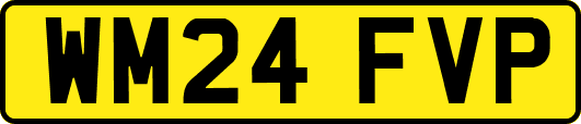 WM24FVP